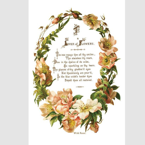 Lover of Flowers Transfer by IOD