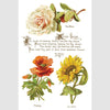 Lover of Flowers Transfer by IOD