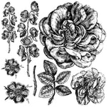 Lady of Shallot Decor Stamps by IOD