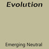 Emerging Neutral Evolution