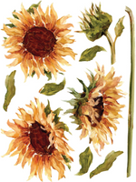 Painterly Floral Transfer Pad by IOD