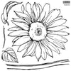Sunflower Stamp with Masks by IOD
