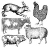Farm Animals Decor Stamp by IOD