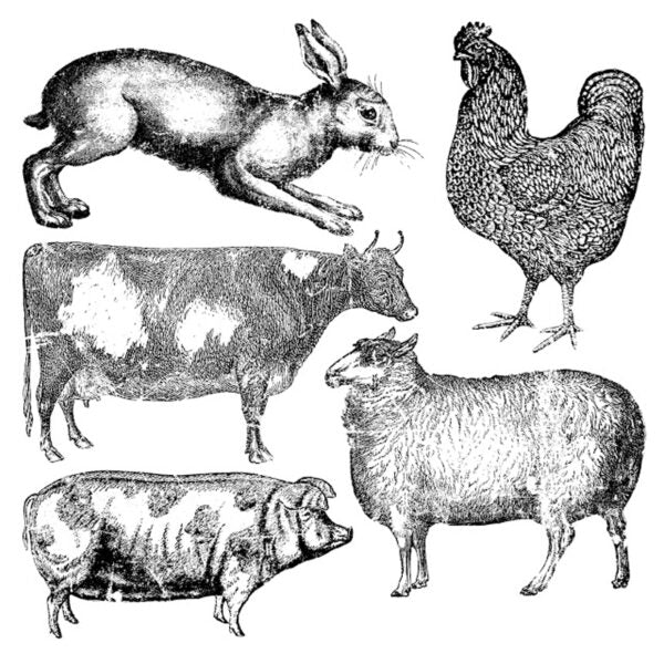 Farm Animals Decor Stamp by IOD