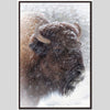 Buffalo In Snow -  30" X 45"