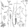 Sprigs Stamps by IOD