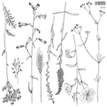 Sprigs Stamps by IOD