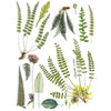 Fronds Botanical Transfer by IOD