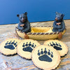Bear Canoe Coasters
