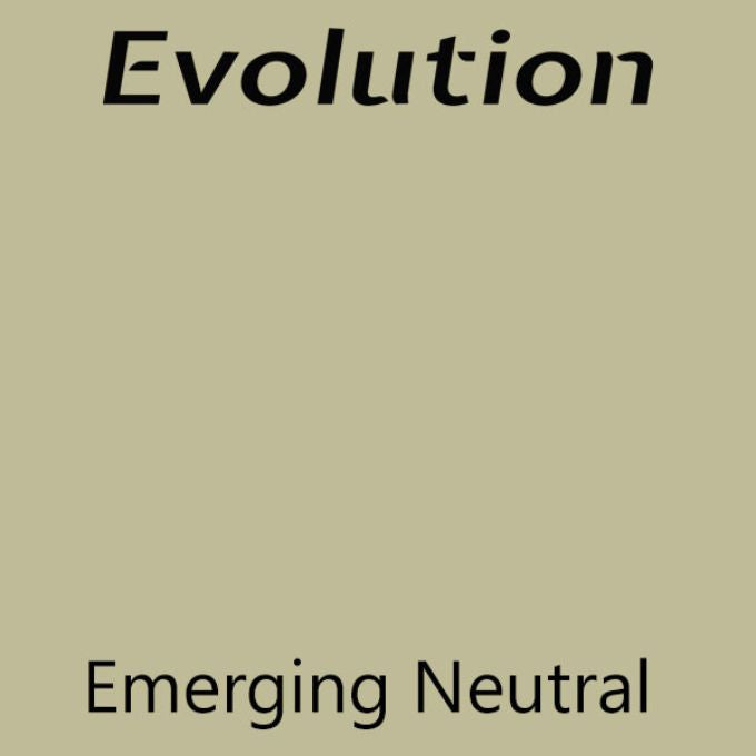 Emerging Neutral Evolution