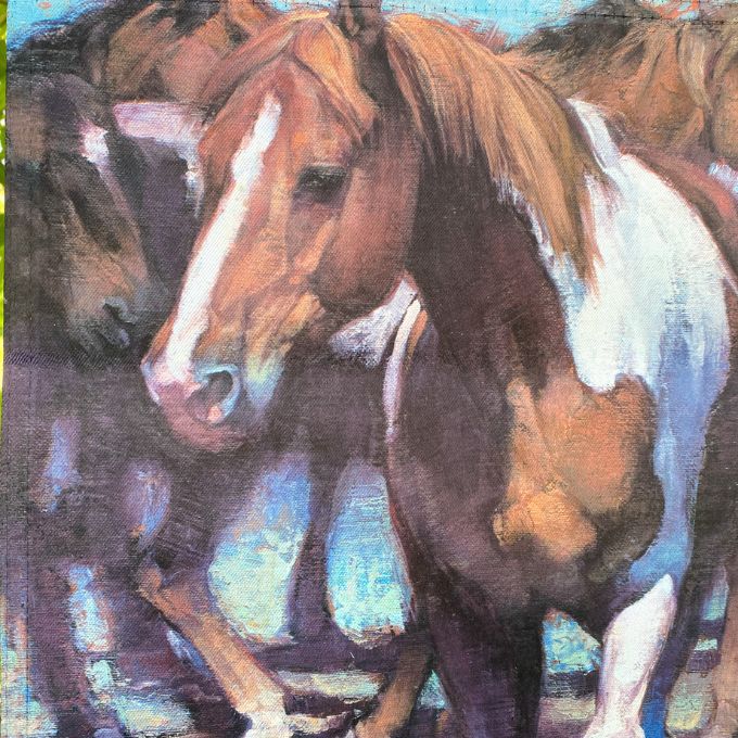 Painted Horse Garden Flag