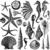 Seashore Stamp by IOD