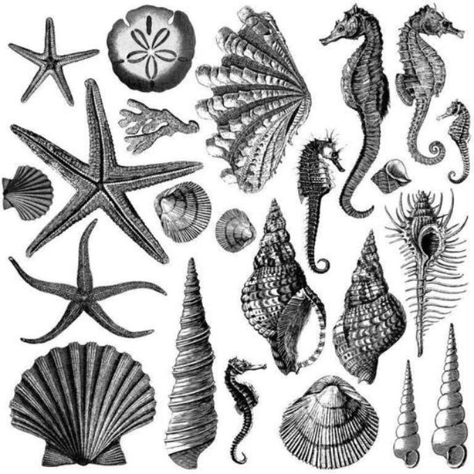 Seashore Stamp by IOD
