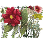Midnight Garden Decor Transfer Pad by IOD