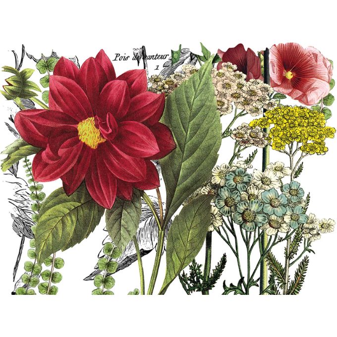 Midnight Garden Decor Transfer Pad by IOD