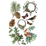 Winter Botanist Transfer by IOD available at Rustic Ranch Furniture and Decor.