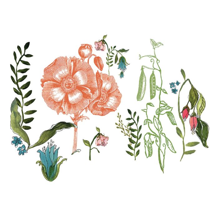 Wander Decor Transfer Pad by IOD