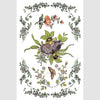 Fairytale Florals Transfer by IOD