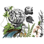 Midnight Garden Decor Transfer Pad by IOD