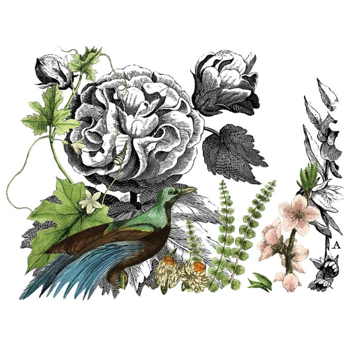 Midnight Garden Decor Transfer Pad by IOD