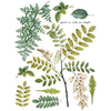 Fronds Botanical Transfer by IOD