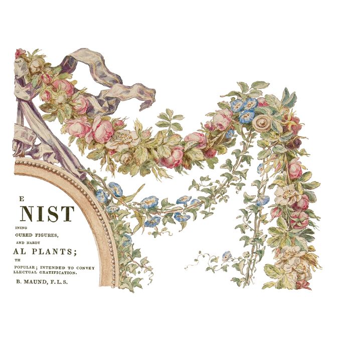 The Botanist Transfer Pad by IOD