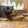 Bear on Deadwood 6x4 Frame