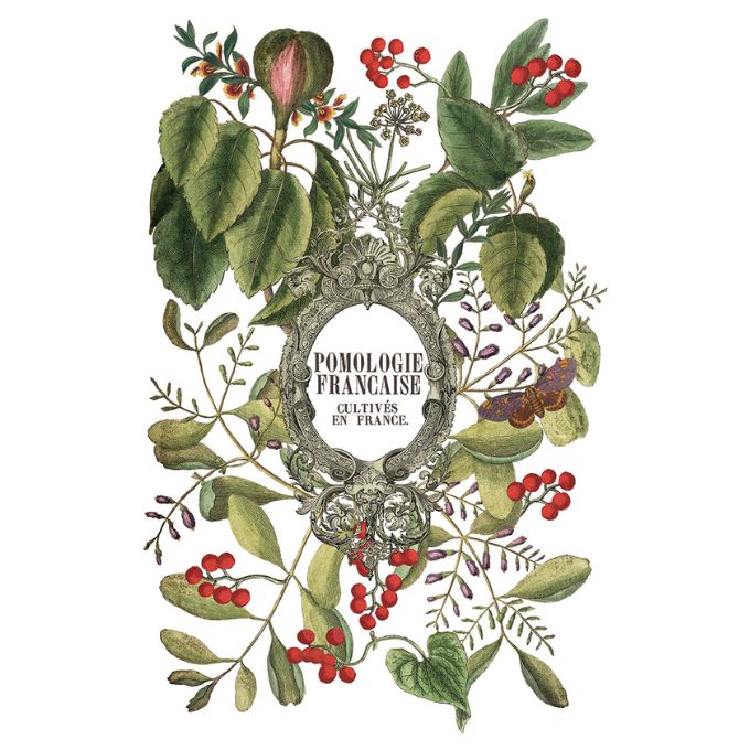 Clementine Transfer by IOD available at Rustic Ranch Furniture and Decor.
