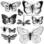 Butterflies Decor Stamp by IOD