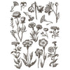 Floriography Paint Inlay by IOD - Limited Edition