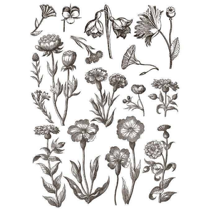 Floriography Paint Inlay by IOD - Limited Edition