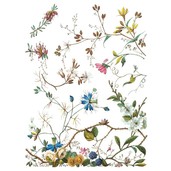 Lost Garden Transfer by IOD