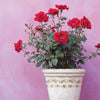 Ditsy Bloom Paint Inlay by IOD - Limited Edition