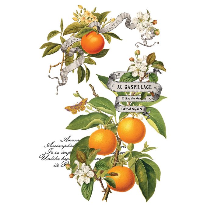 Vintage-style illustration of oranges on a branch with flowers and text. Clementine Transfer by IOD available at Rustic Ranch Furniture and Decor.