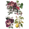 Vintage-style botanical illustration with flowers, leaves, and a pear on a white background. Clementine Transfer by IOD available at Rustic Ranch Furniture and Decor.