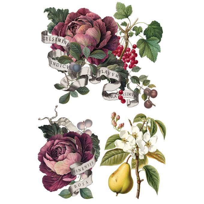 Vintage-style botanical illustration with flowers, leaves, and a pear on a white background. Clementine Transfer by IOD available at Rustic Ranch Furniture and Decor.