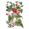 Illustration of a red flower with green leaves and red berries on a white background. Clementine Transfer by IOD available at Rustic Ranch Furniture and Decor.