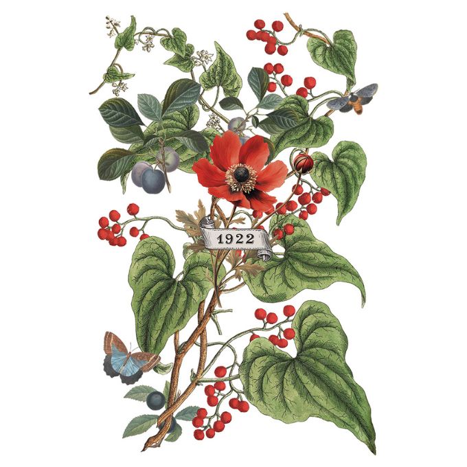 Illustration of a red flower with green leaves and red berries on a white background. Clementine Transfer by IOD available at Rustic Ranch Furniture and Decor.