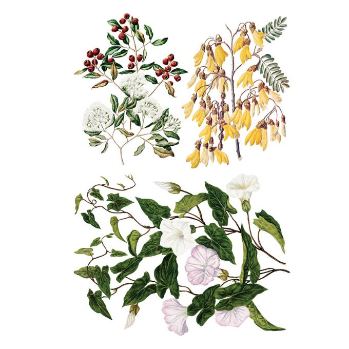 Sarah Featon's Botanicals Transfer by IOD