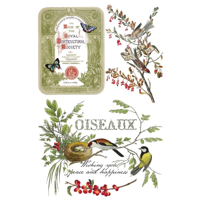 Decorative design with birds, leaves, and a vintage-style label on a white background. Winter Botanist Transfer by IOD available at Rustic Ranch Furniture and Decor.