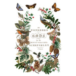 Decorative design with birds, butterflies, and foliage on a white background. Winter Botanist Transfer by IOD available at Rustic Ranch Furniture and Decor.