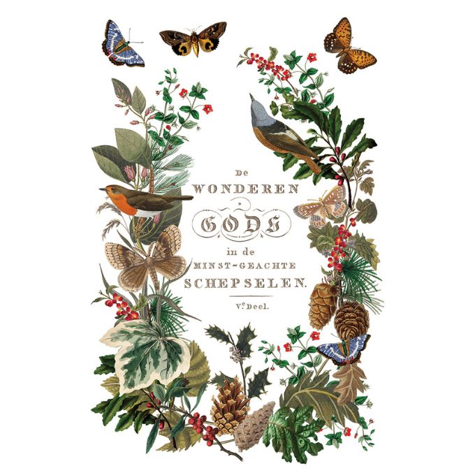 Decorative design with birds, butterflies, and foliage on a white background. Winter Botanist Transfer by IOD available at Rustic Ranch Furniture and Decor.