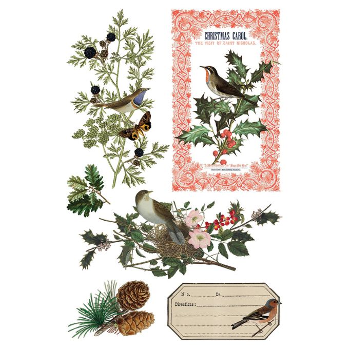 Set of Christmas-themed stickers with birds, holly, and other elements on a white background. Winter Botanist Transfer by IOD available at Rustic Ranch Furniture and Decor.