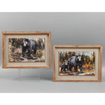 Black Bear Framed Print - Two Styles