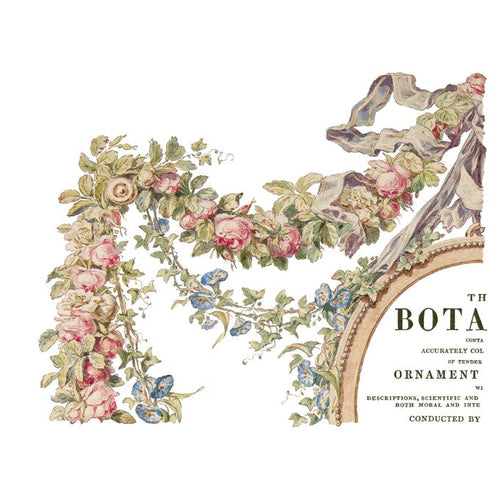 The Botanist Transfer Pad by IOD