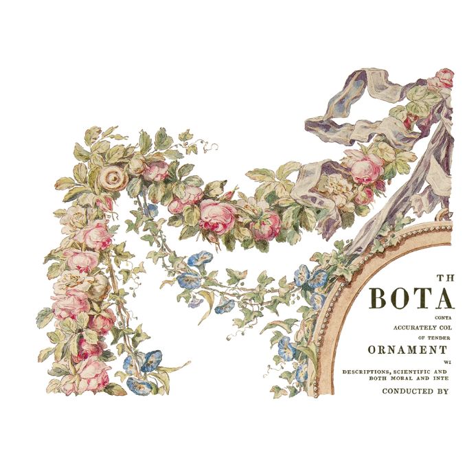 The Botanist Transfer Pad by IOD