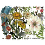 Midnight Garden Decor Transfer Pad by IOD