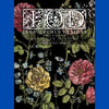 Ladies in Waiting Transfer by IOD