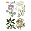 Sarah Featon's Botanicals Transfer by IOD