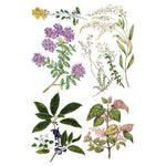 Sarah Featon's Botanicals Transfer by IOD